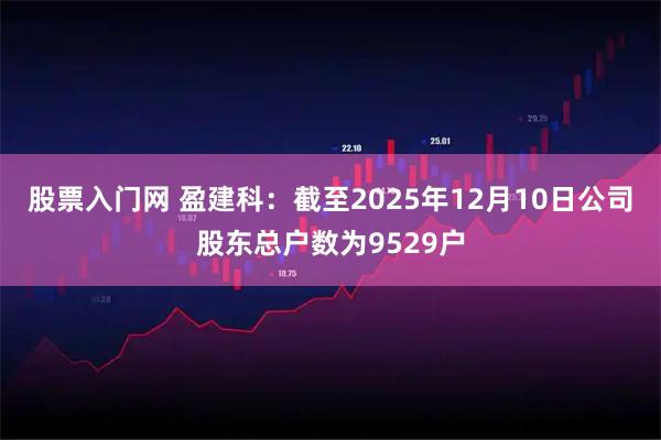 股票入门网 盈建科：截至2025年12月10日公司股东总户数为9529户