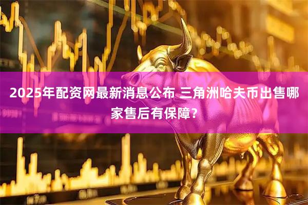 2025年配资网最新消息公布 三角洲哈夫币出售哪家售后有保障？